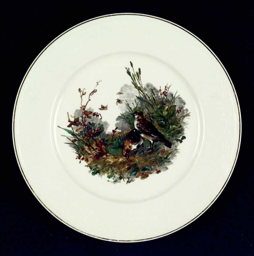 H743 Luncheon Plate by Haviland-1