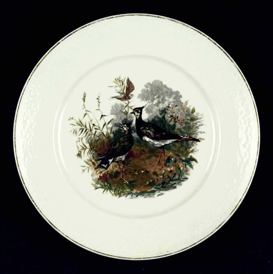 H743 Luncheon Plate by Haviland-1