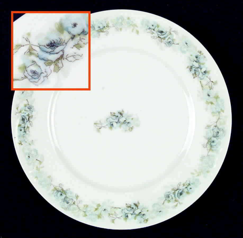 H745 Dinner Plate by Haviland-1