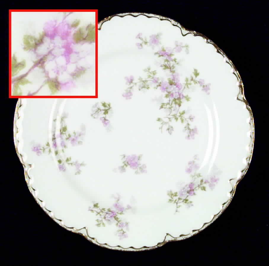 Schleiger 29dz Salad Plate by Haviland-1