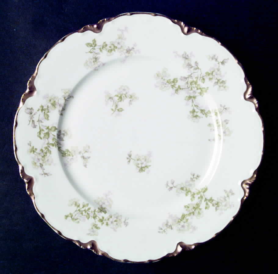 Schleiger 61L Dinner Plate by Haviland-1