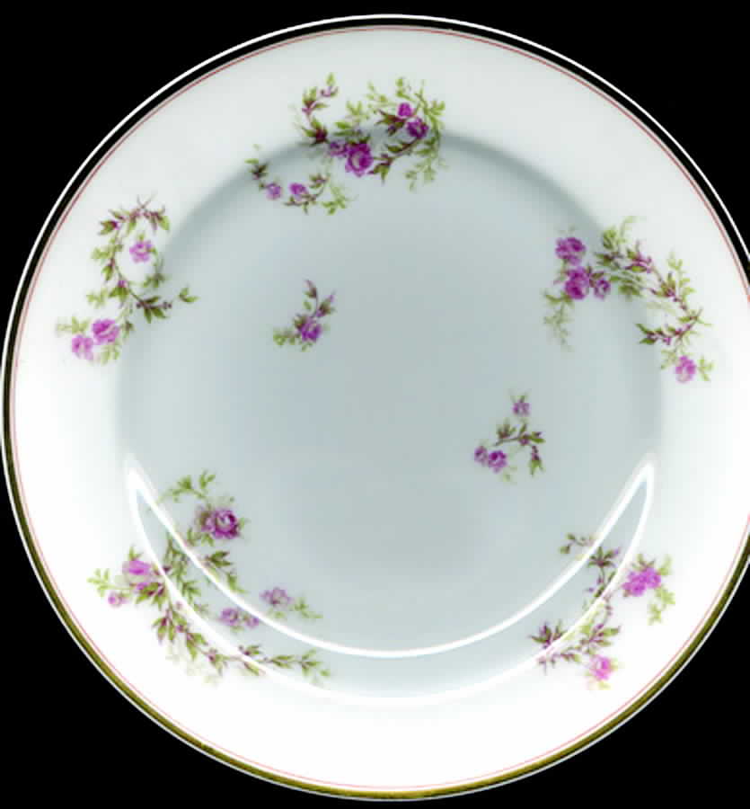 Schleiger 1132a  Salad Plate by Haviland-1