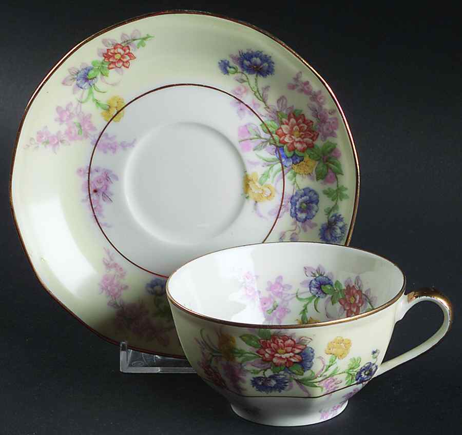 H748 Flat Cup & Saucer Set by Haviland-1
