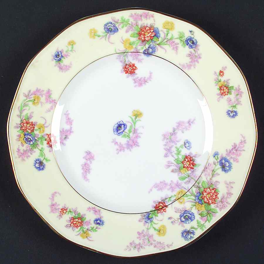 H748 Dinner Plate by Haviland-1