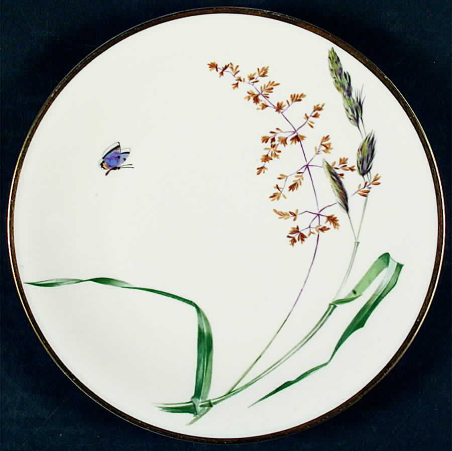 Sommer (Coupe, Smooth, Cream, Gold Trim) Salad Plate by Heinrich - H&C-1