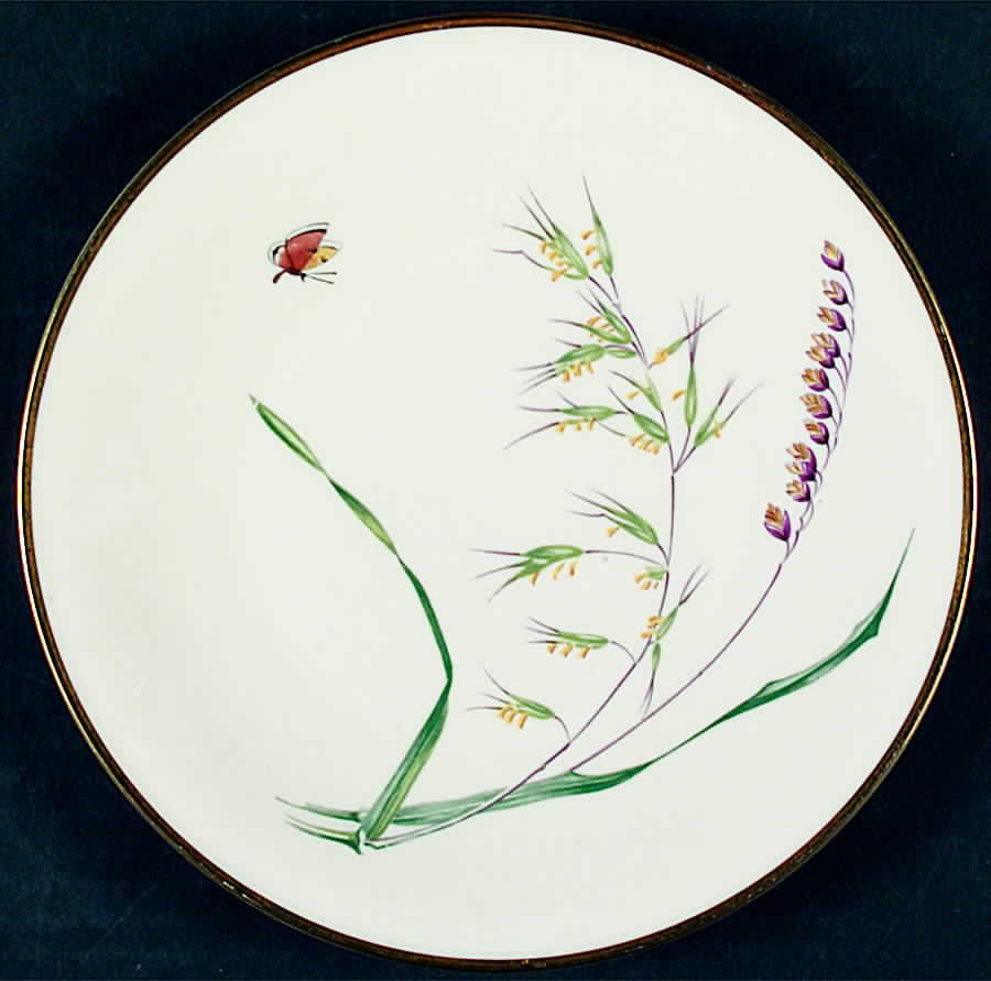 Sommer (Coupe, Smooth, Cream, Gold Trim) Salad Plate by Heinrich - H&C-1