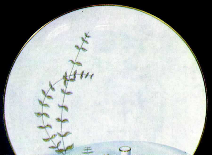 Sepia Dinner Plate by Hutschenreuther-1