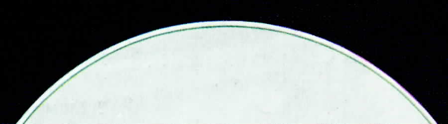 Senta Dinner Plate by Hutschenreuther-1