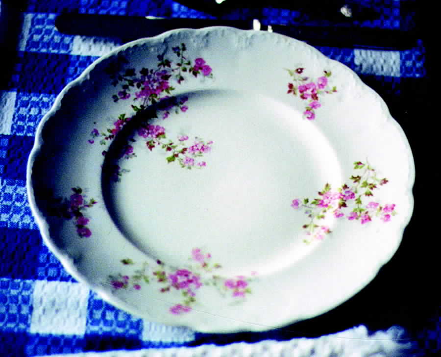 HLC916 Dinner Plate by Homer Laughlin -1