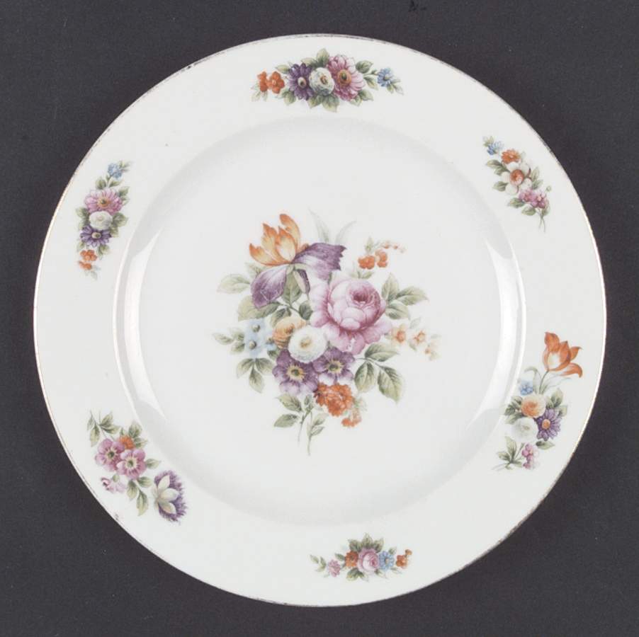 HUT645 Dinner Plate by Hutschenreuther-1