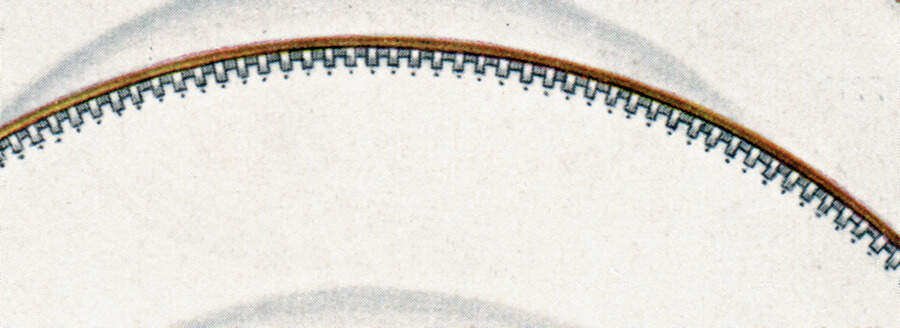 8232 Dinner Plate by Hutschenreuther-1