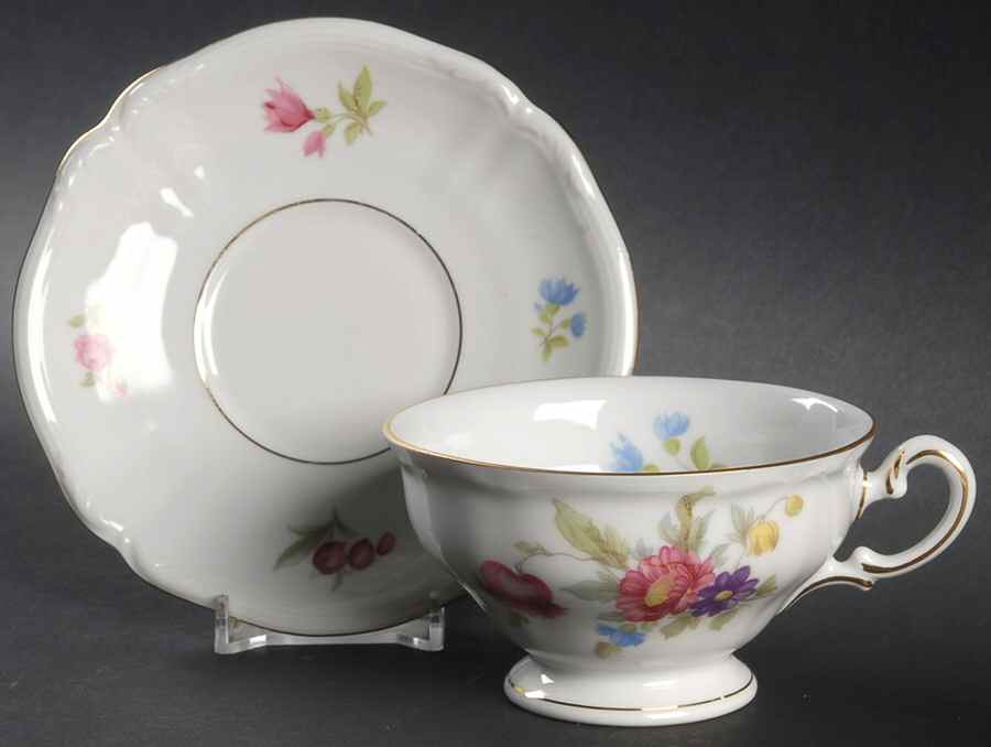 855 Footed Cup & Saucer Set by Hutschenreuther-1