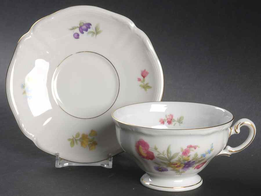 855 Footed Cup & Saucer Set by Hutschenreuther-1