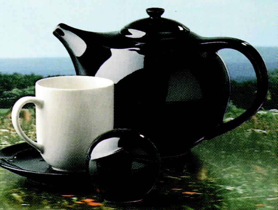 Pinto Teapot & Lid by Hutschenreuther-1