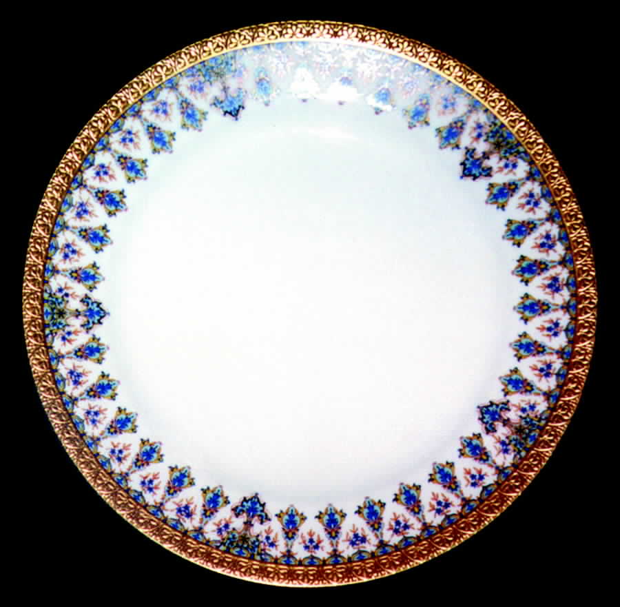 H751 Dinner Plate by Haviland-1