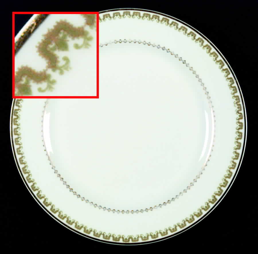 Schleiger 272-1 Dinner Plate by Haviland-1