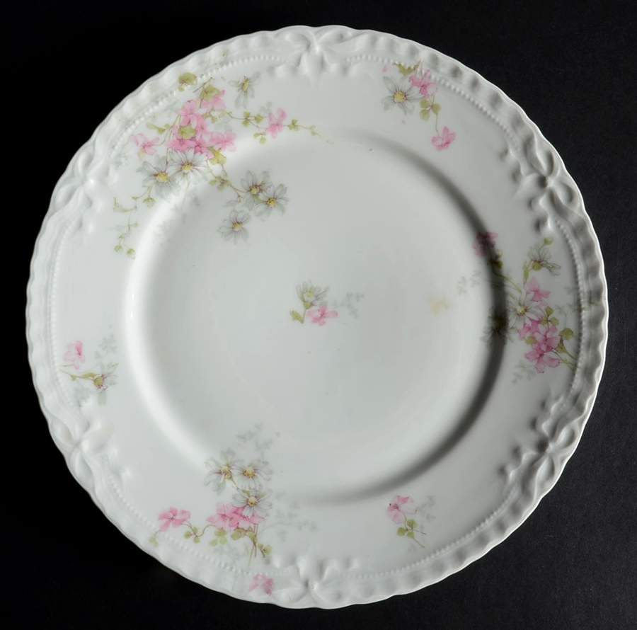 Schleiger 331 Dinner Plate by Haviland-1
