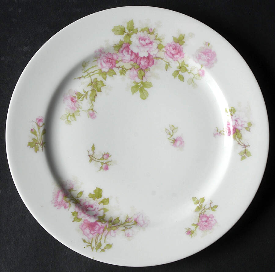 Schleiger 30F Salad Plate by Haviland-1