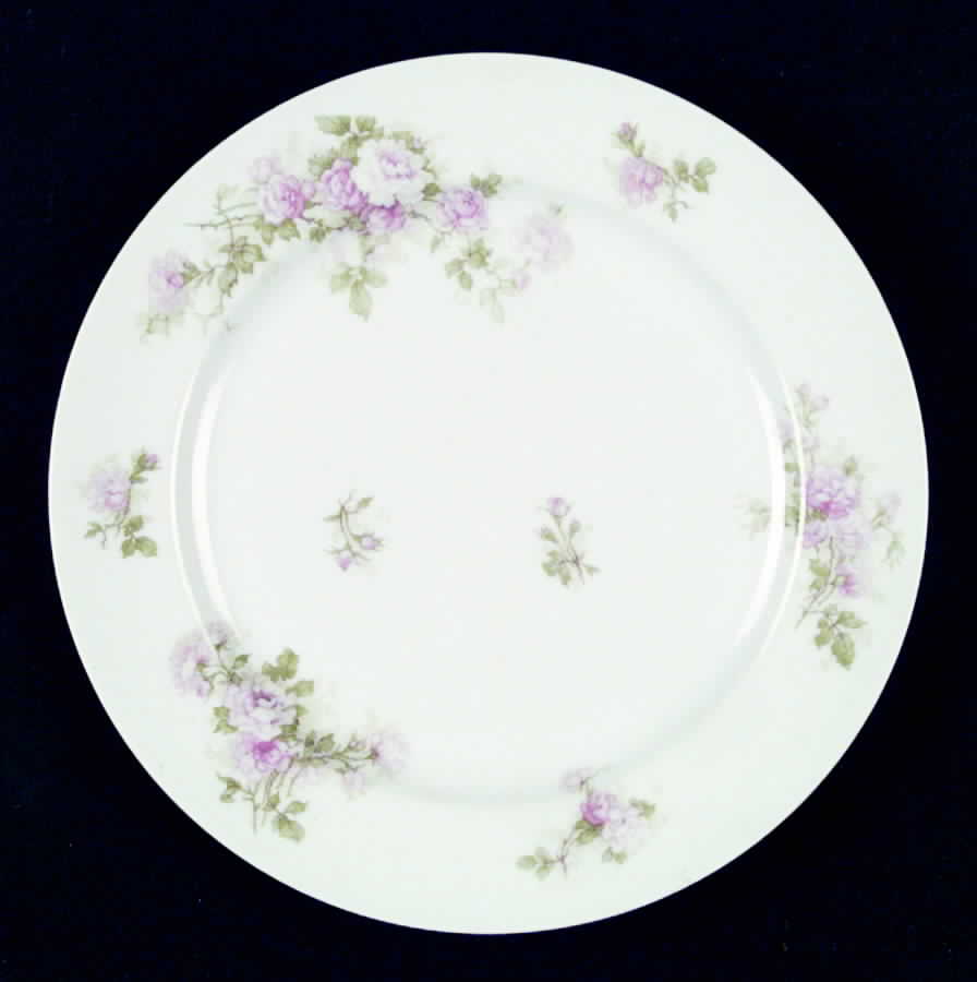 Schleiger 30F Dinner Plate by Haviland-1