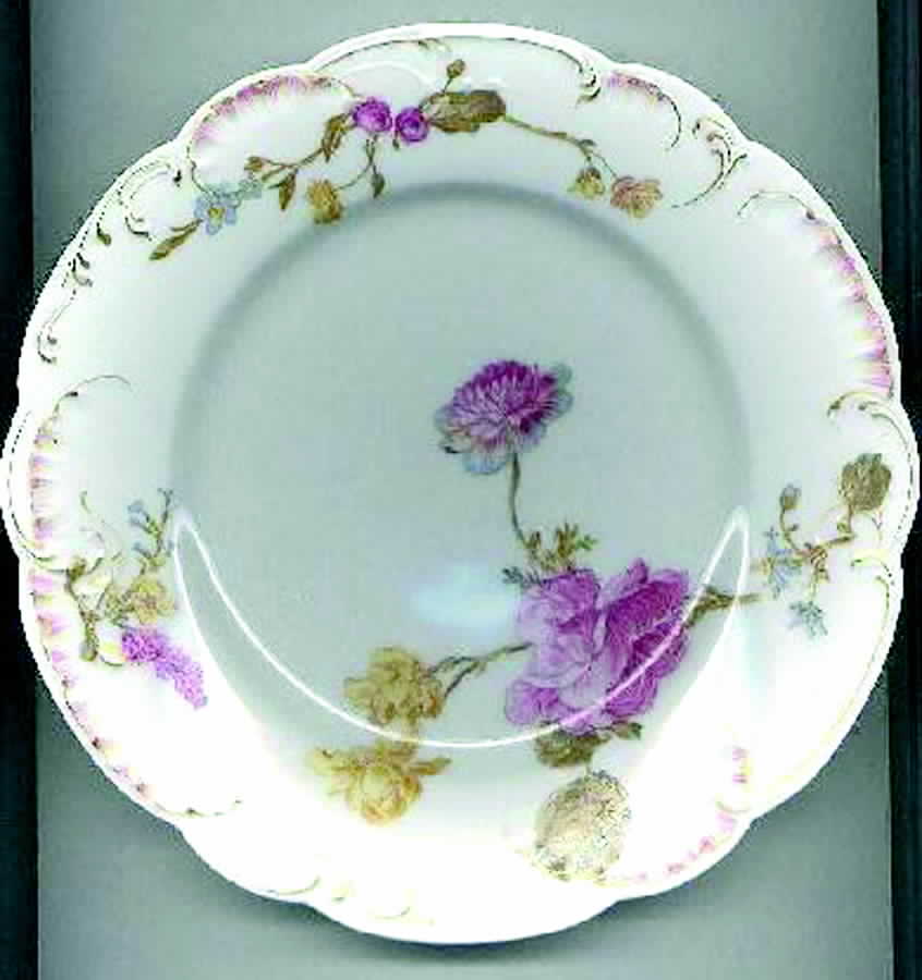 H764 Dinner Plate by Haviland-1