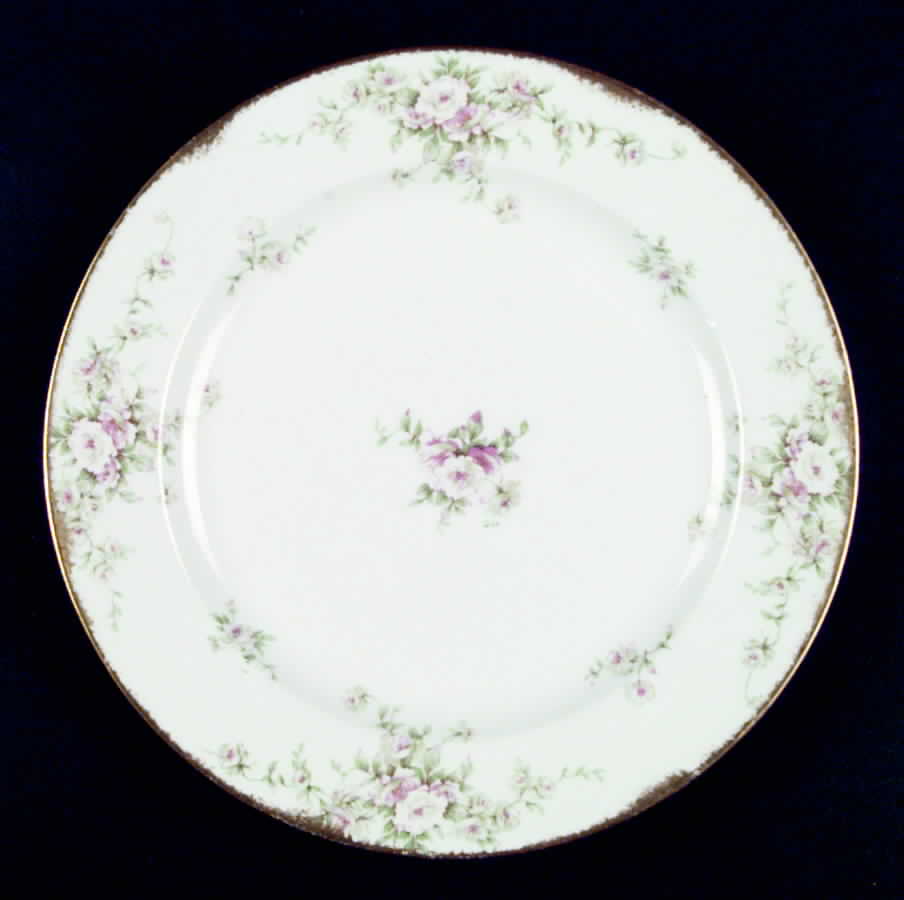 H553 Dinner Plate by Haviland-1