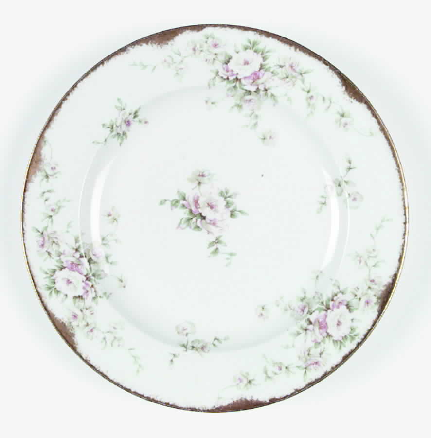 H553 Salad Plate by Haviland-1