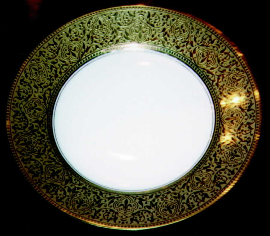 H766 Dinner Plate by Haviland-1