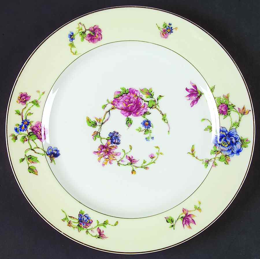 Schleiger 468-1 Dinner Plate by Haviland-1