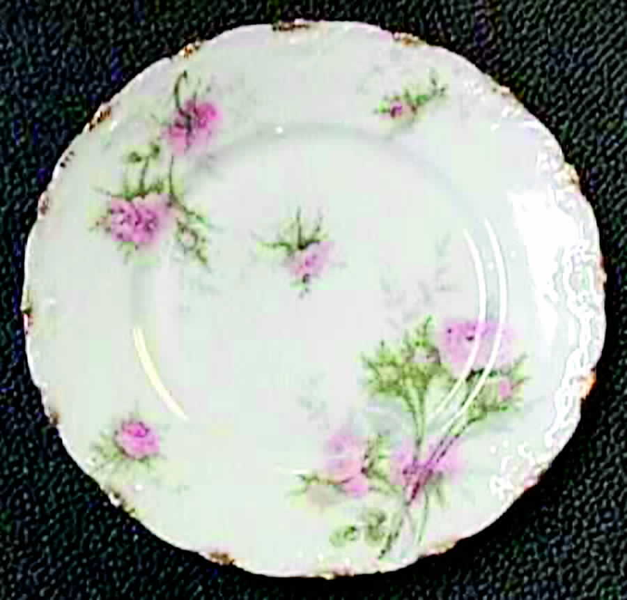 H769 Dinner Plate by Haviland-1
