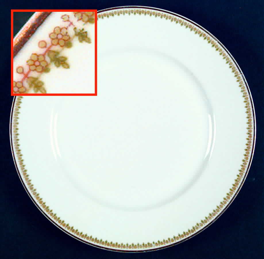 Schleiger 620 Dinner Plate by Haviland-1