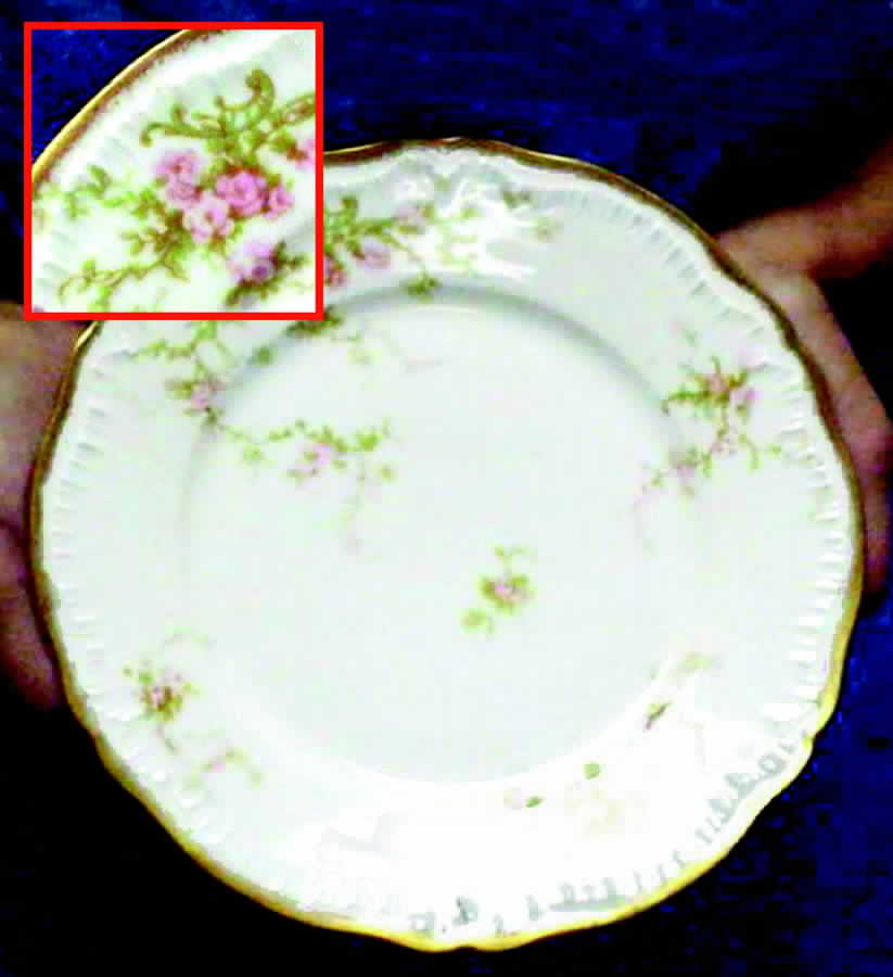 Schleiger 318-5 Luncheon Plate by Haviland-1