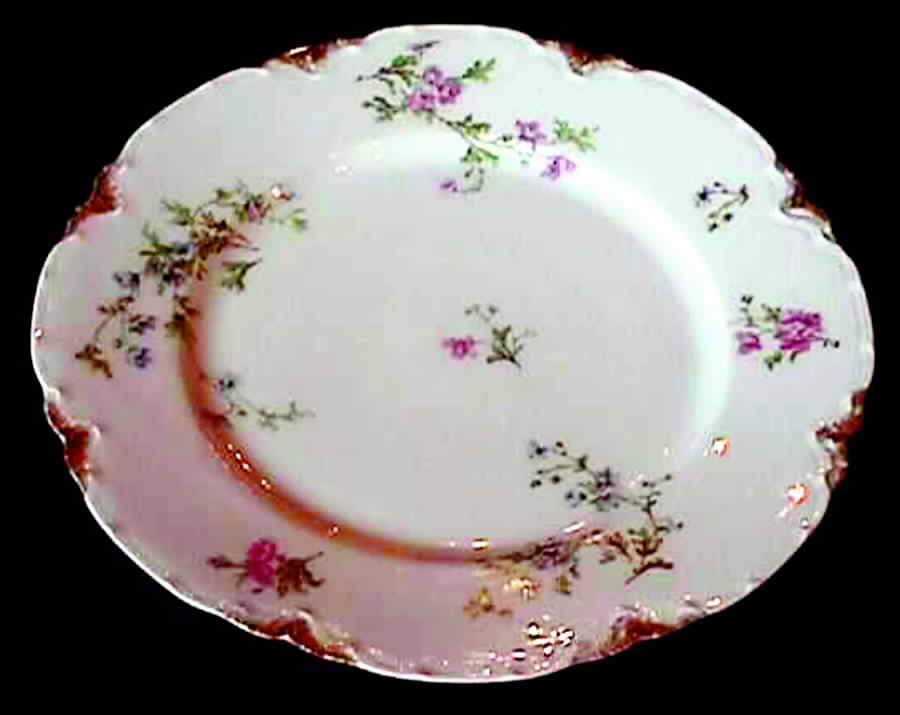 Schleiger 670-6 Dinner Plate by Haviland-1