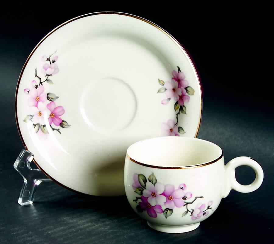 Apple Blossom Footed Demitasse Cup & Saucer Set by Homer Laughlin -1