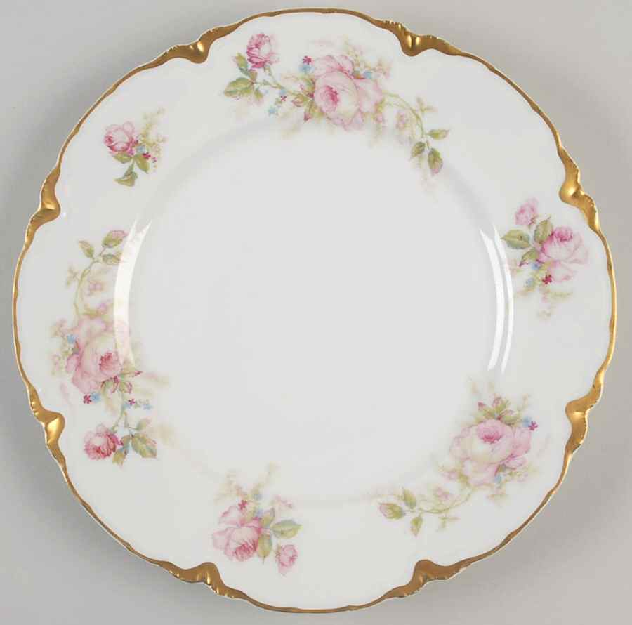 Schleiger 257C Dinner Plate by Haviland-1