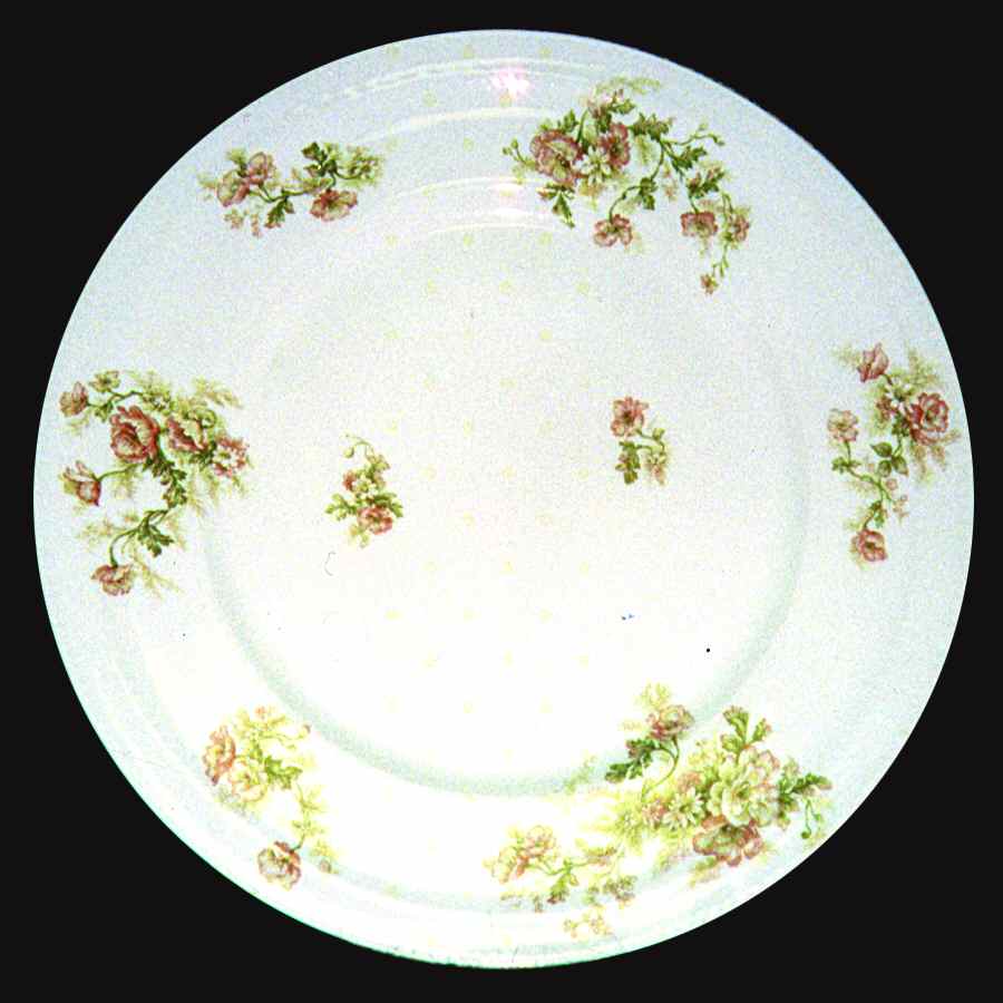 Schleiger 466a Dinner Plate by Haviland-1