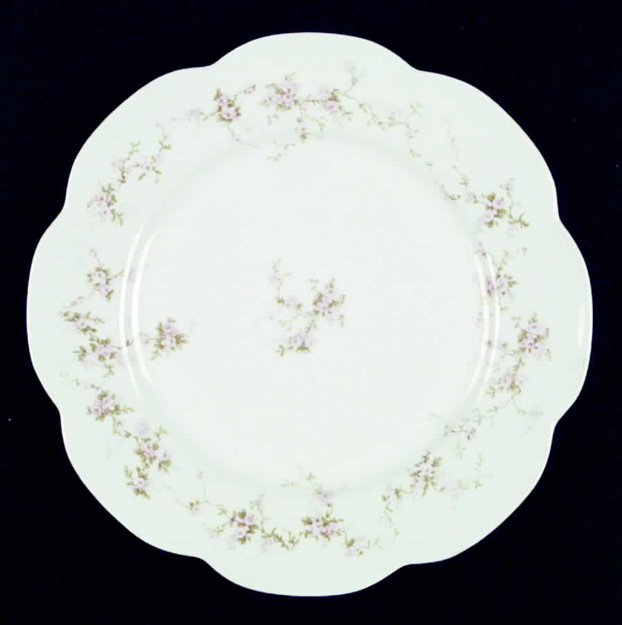H780 Dinner Plate by Haviland-1
