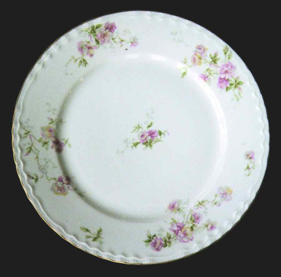 H781 Dinner Plate by Haviland-1