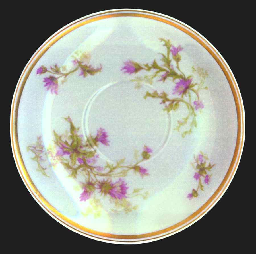 Schleiger 41g Saucer by Haviland-1