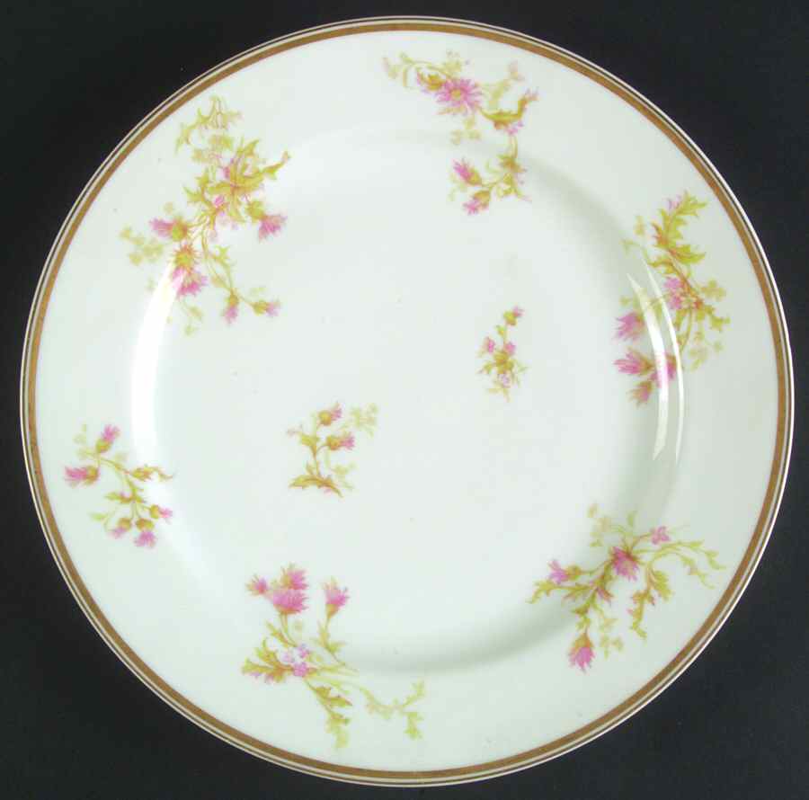 Schleiger 41g Dinner Plate by Haviland-1