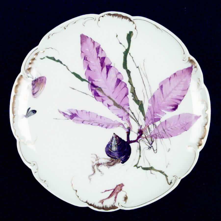 H864 Luncheon Plate by Haviland-1