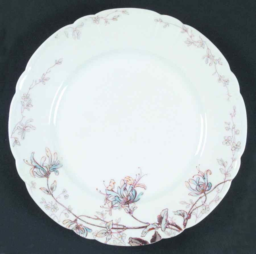 H784 Dinner Plate by Haviland-1