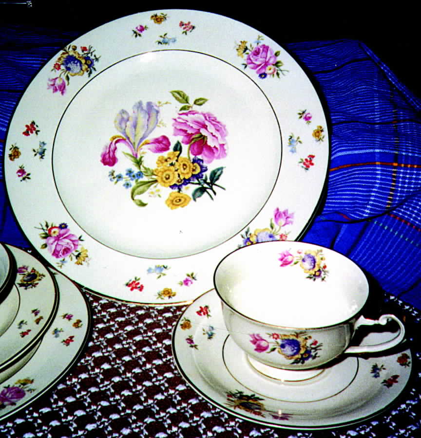 HUT661 Dinner Plate by Hutschenreuther-1
