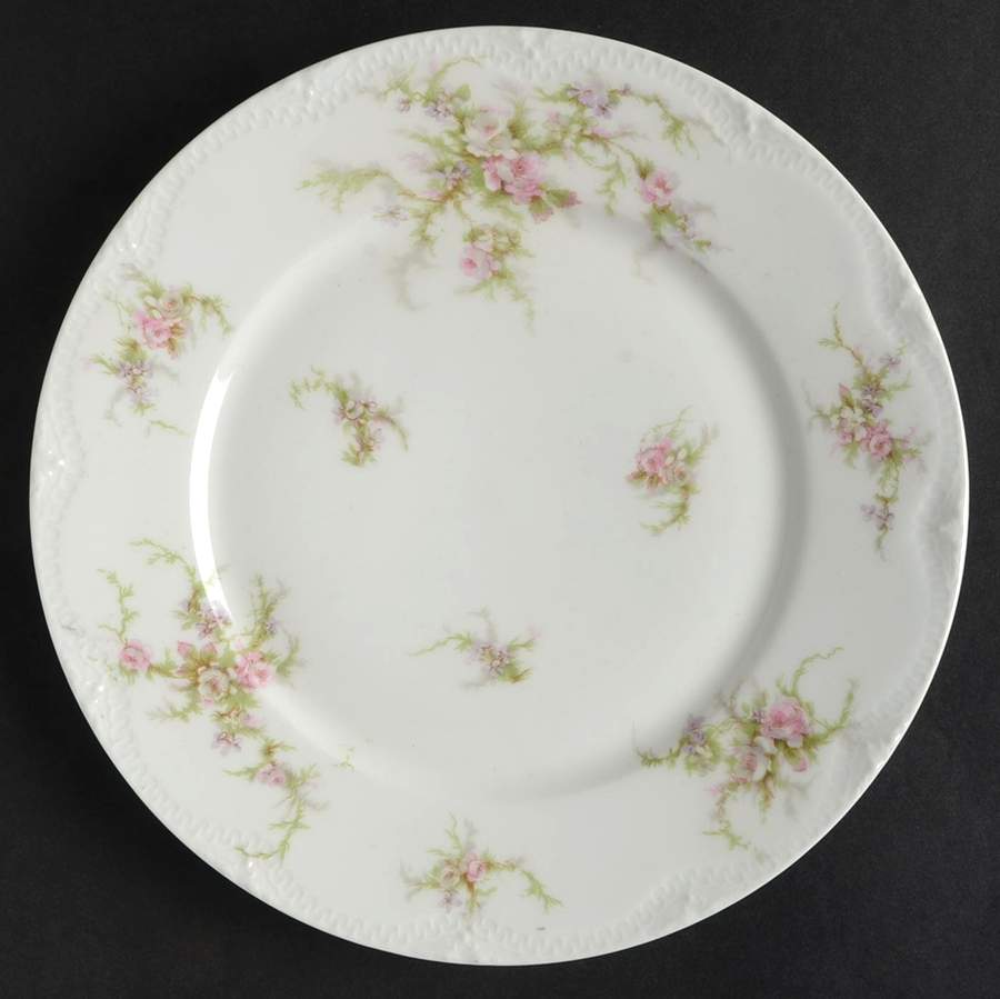 Schleiger 154k Dinner Plate by Haviland-1