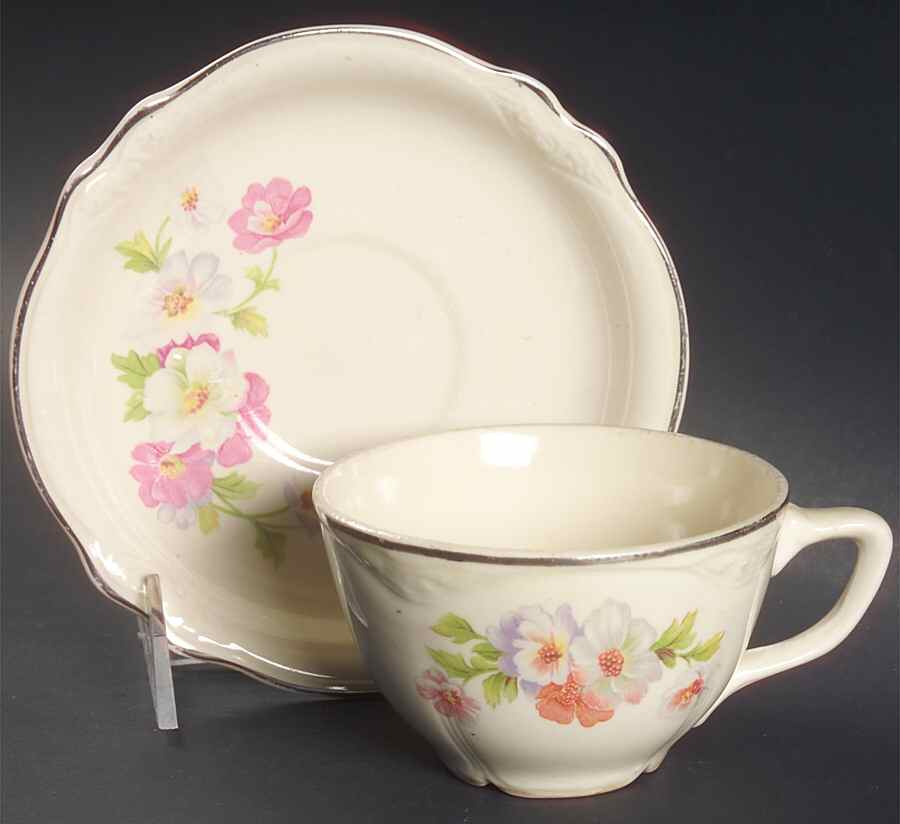 Fluffy Rose 2 (Platinum Trim) Flat Cup & Saucer Set by Homer Laughlin -1
