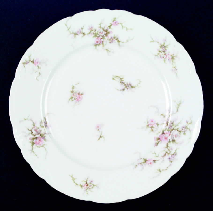 Schleiger 154c Dinner Plate by Haviland-1
