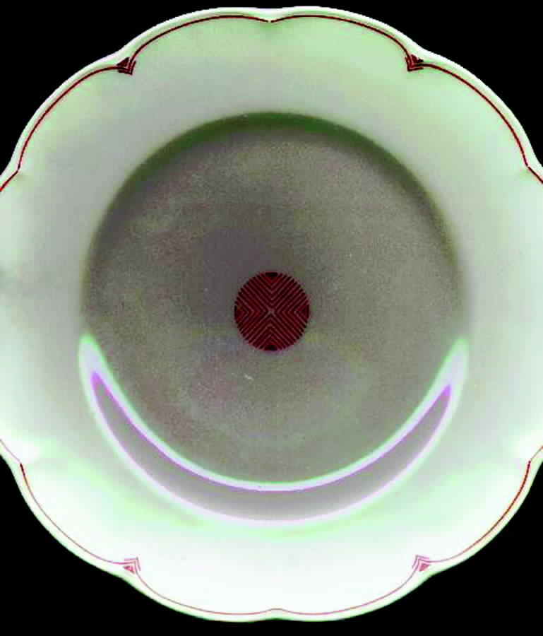 H867 Luncheon Plate by Haviland-1