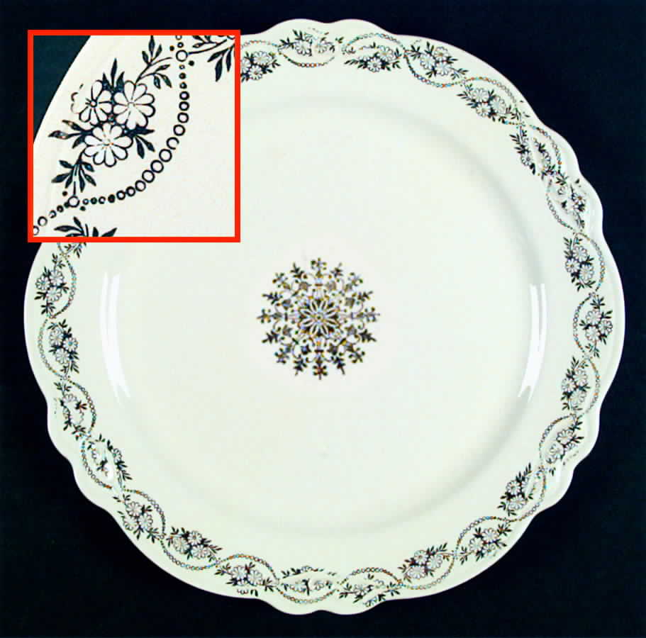 Century's Three Daisies Dinner Plate by Homer Laughlin -1