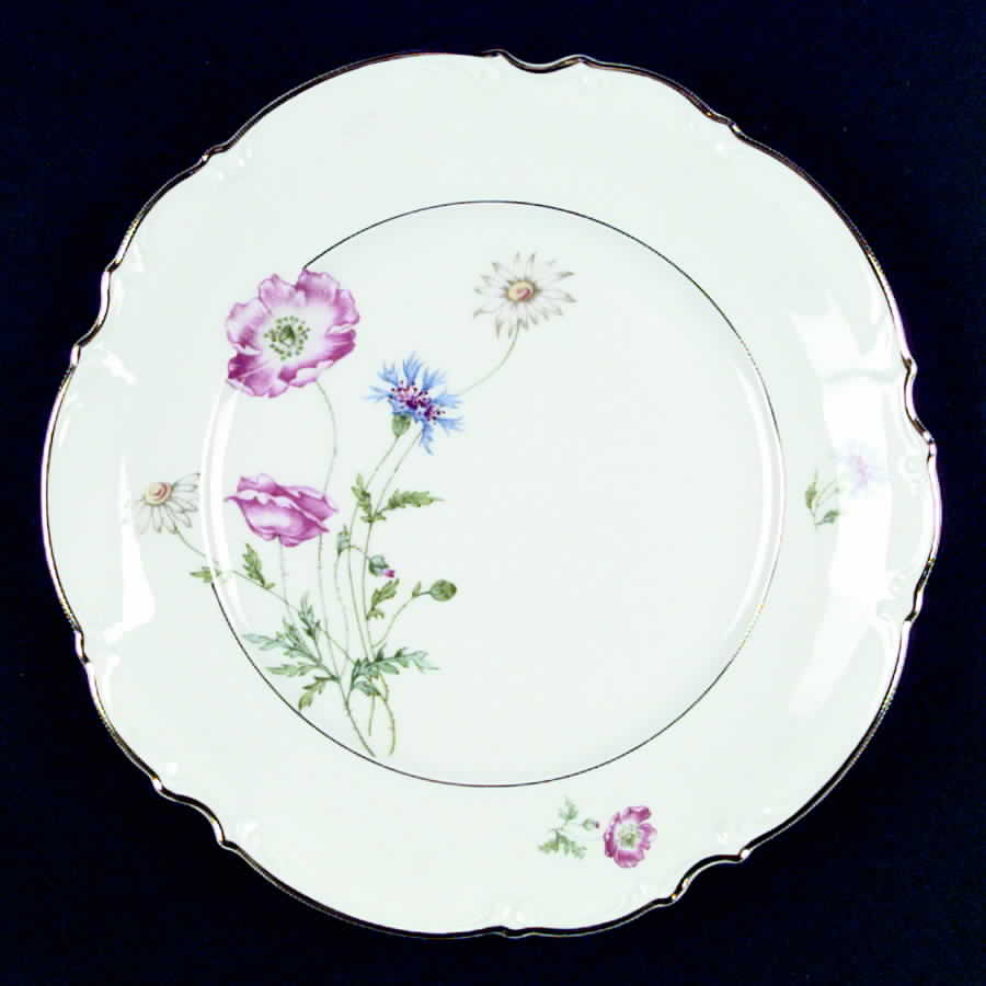 HUT668 Dinner Plate by Hutschenreuther-1