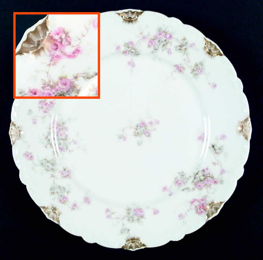 Schleiger 320-5 Dinner Plate by Haviland-1