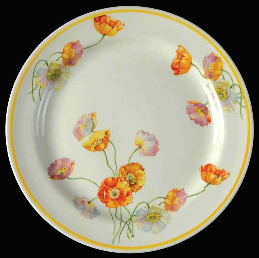 N291 Dinner Plate by Homer Laughlin -1